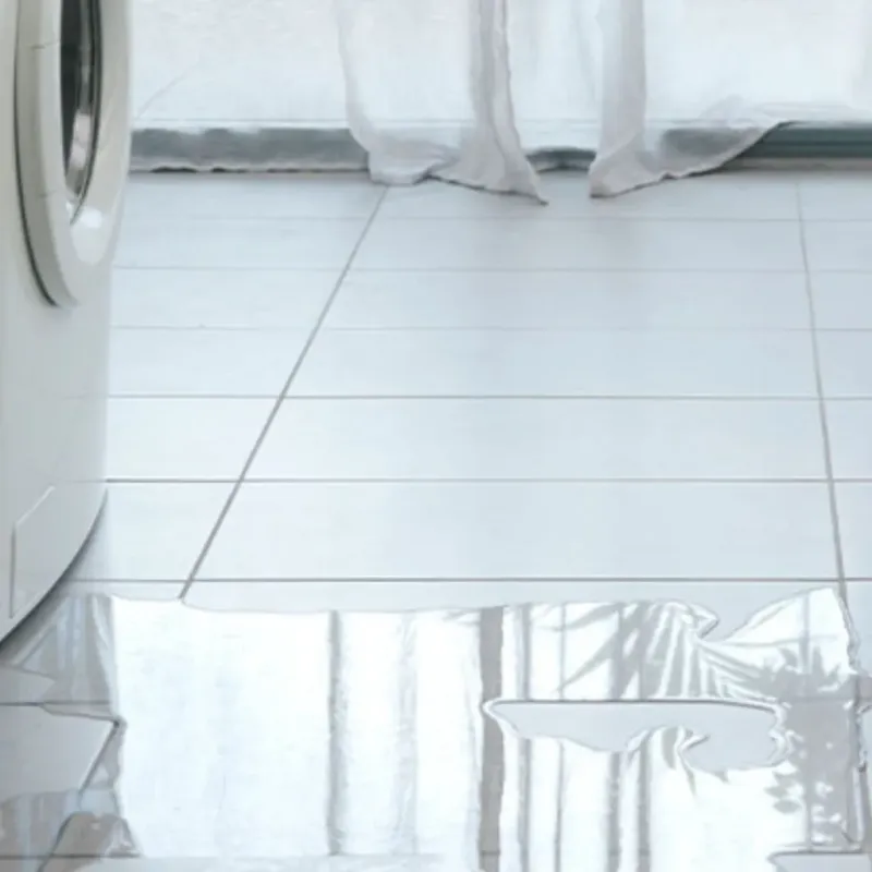 Appliance Leak Cleanup in Ucon, ID