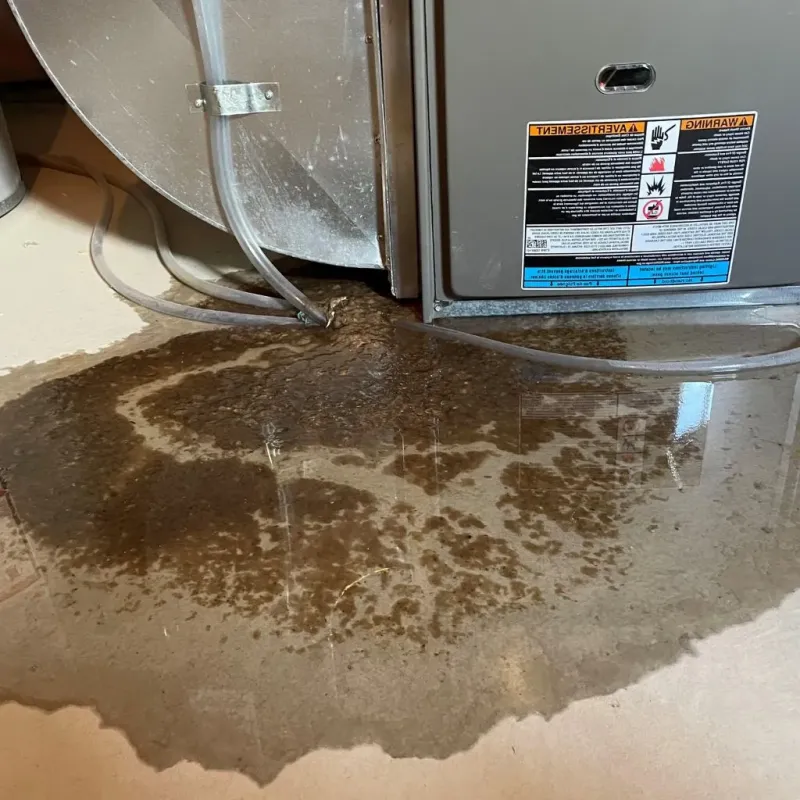 Pipe Burst and Leak Restoration in Ucon, ID
